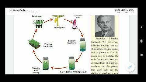 17.Introduction to  Biotechnology, Std. 9, Vdo-4, Biotechnology, Tissue culture, GM Crops, applica.