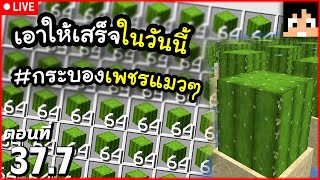 [Live] ฟาร์ม Cactus ตอนสุดท้าย! ตอนที่ 37.7 | Minecraft เอาชีวิตรอดมายคราฟ 1.20