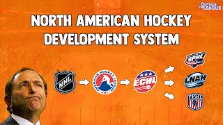 How The North American Professional Hockey Feeder System Works