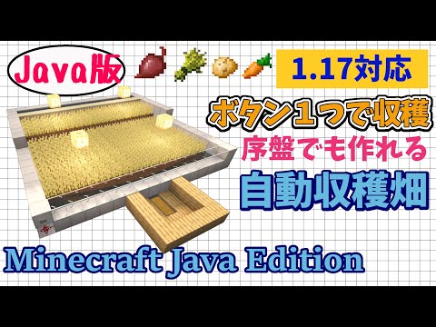 【マイクラJava1.17】便利装置 自動収穫畑の作り方！小麦、じゃがいも、人参、ビートルート対応！初心者でも簡単に作れる！【Minecraft Java Edition】マインクラフトゲーム実況