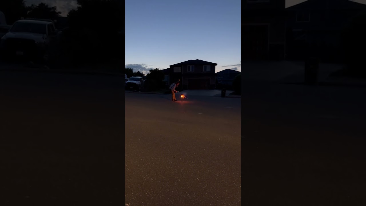 Big pro shell blue chrysanthemum