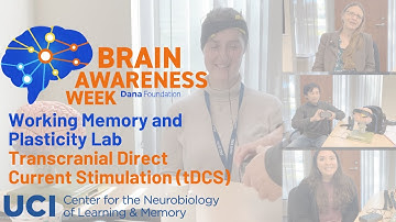 BAW 2020: Working Memory and Plasticity Lab & Transcranial Direct Current Stimulation (tDCS) Demo