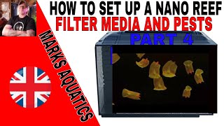 How To Set Up a Nano Reef Tank Part 4
