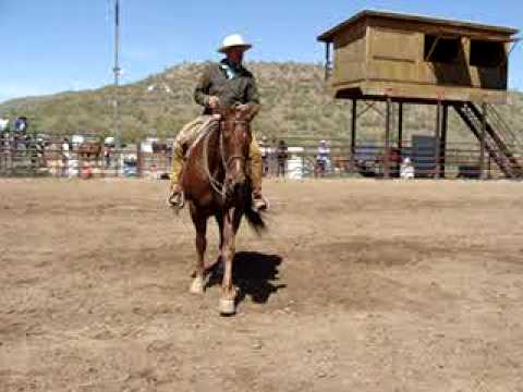 Buck Brannaman Clinic, Cow-Working Bridle Horse