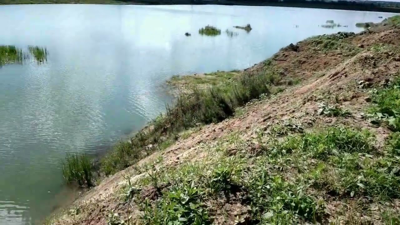 Окрестности СНТ Прогресс,д.Пестово,д.Мотякино,Красный Путь,д.Шубино (2013)