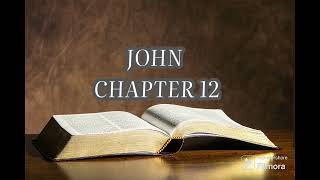 Holy Bible | The Book of JOHN | Chapters  12 | Audio Bible  ESV(English Standard Version)