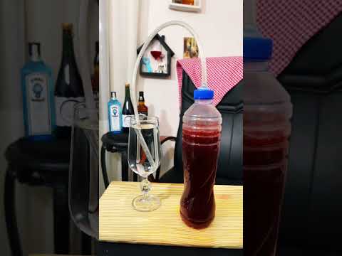 صناعة الخمور المشروبات الكحولية مع سفالوسا