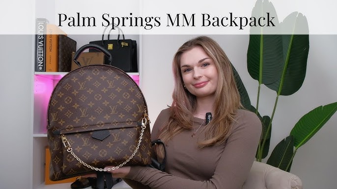 Review: Louis Vuitton Palm Springs Mini – Buy the goddamn bag