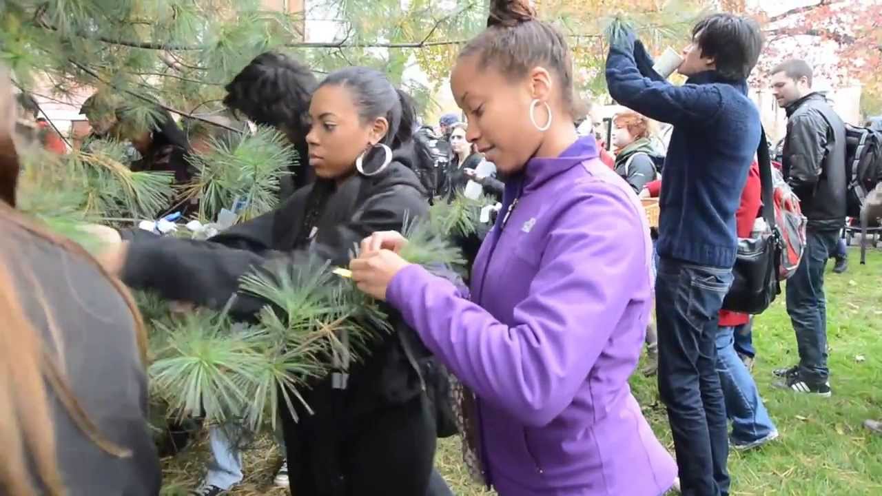 Peace Tree Ceremony YouTube