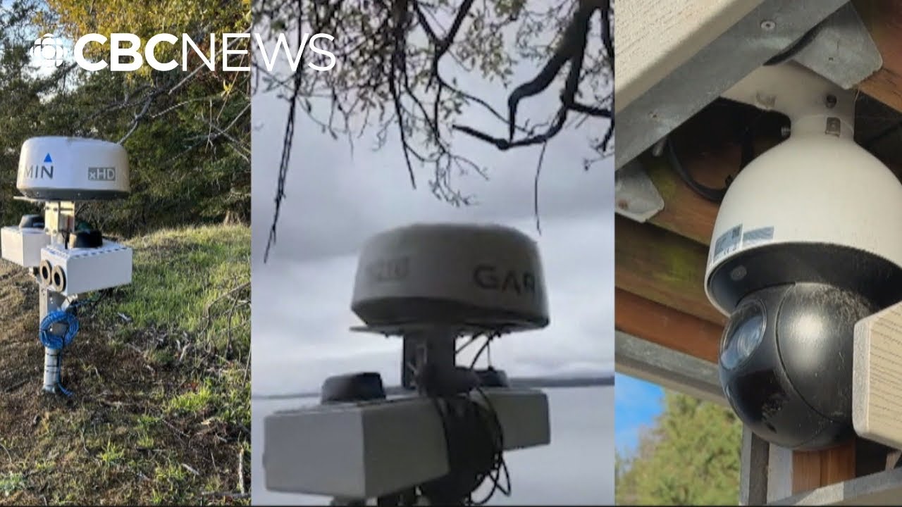 Whale detection devices installed on B.C. properties to safeguard marine mammals