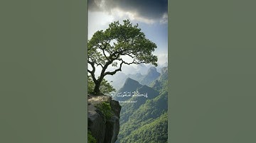 سورة المؤمنون #سورة#المؤمنون#القرآن #الكريم #المصحف#اكسبلور #فلسطين#حرة