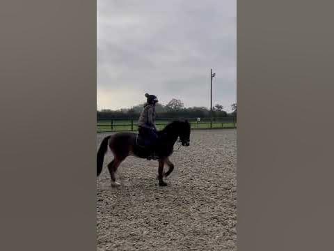 Who is this DIVA 💜 - YouTube