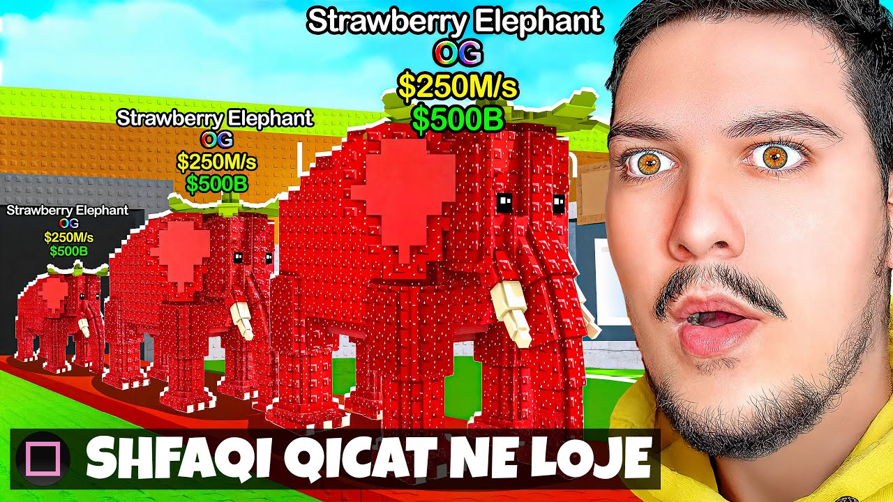 KAM SHTI QICA TE LOJA STEAL A BRAINROT