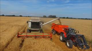 moisson d'orge 2017