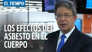 The effects of asbestos on the body | EL TIEMPO
