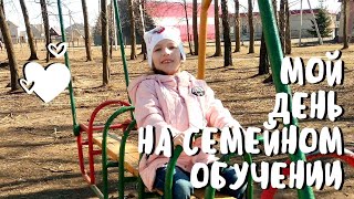 Мой день на семейном обучении. В Беларуси. Мой день на семейном обучении. В Беларуси.