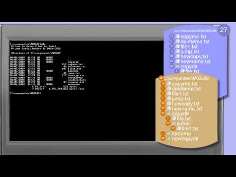 298_01-Subversion: svn move;move and rename files and directories