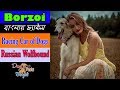 Borzoi dog facts in Bengali | Russian Wolfhound facts | Dog Facts Bengali