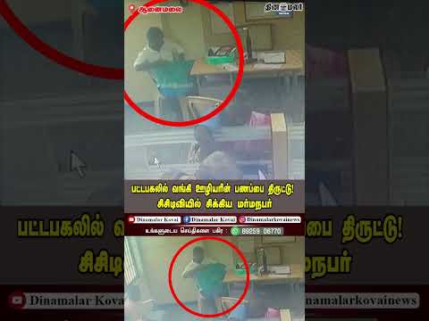 பட்டபகலில் வங்கி ஊழியரின் பணப்பை திருட்டு! சிசிடிவியில் சிக்கிய மர்மநபர்