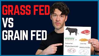 New Science On Grass-fed Beef Will Surprise You