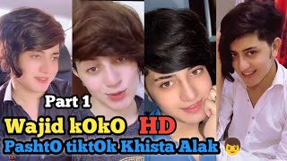 Pashto tiktok Khaista alak wajid koko 2021 | pashto chokragan | Part 1 | pashto tiktok