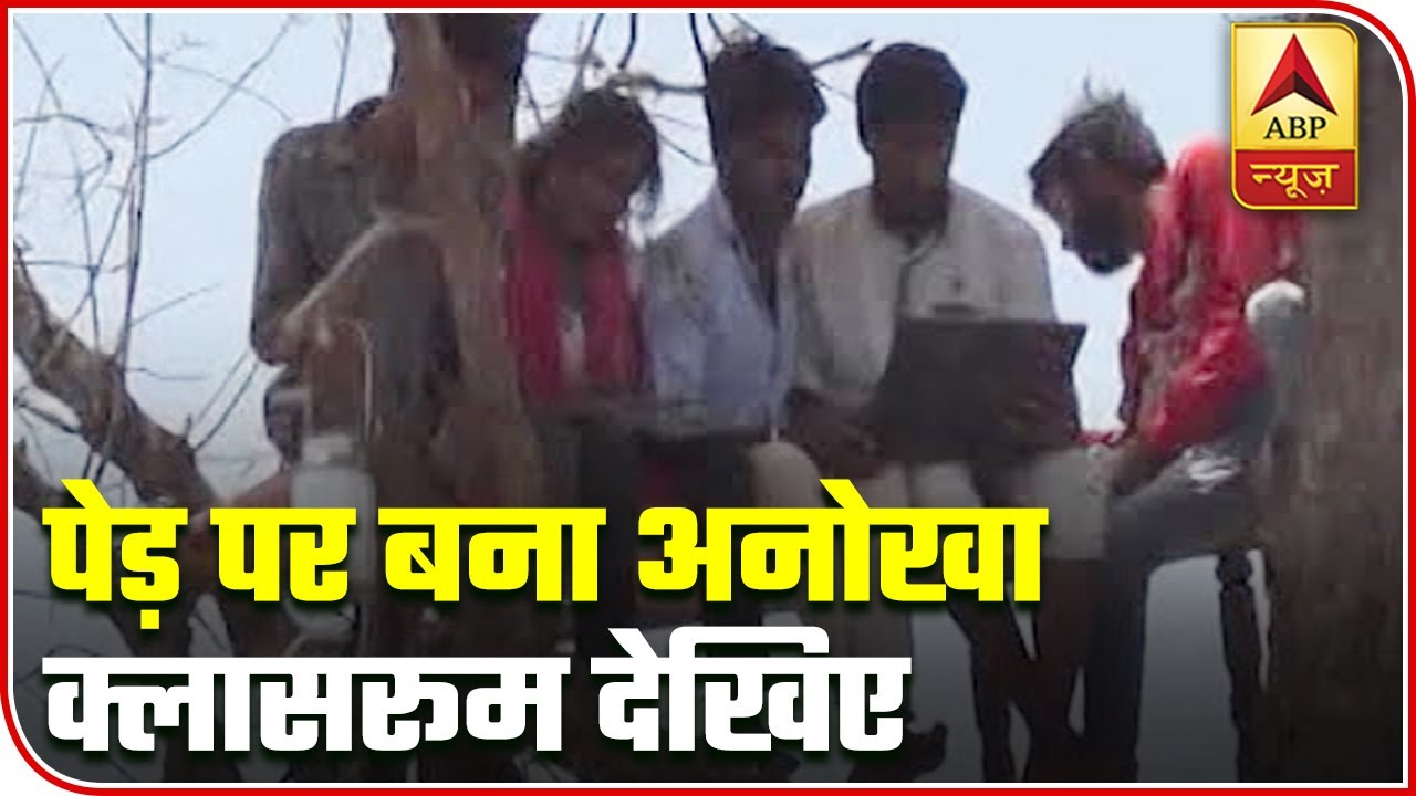 Unique Makeshift Classroom Over A Tree May Shock You | ABP News