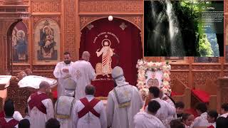 St Mark LA Live