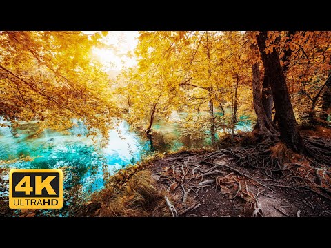 Incredible Fall Foliage Best Autumn Nature Scenes from Around the World Calming Music