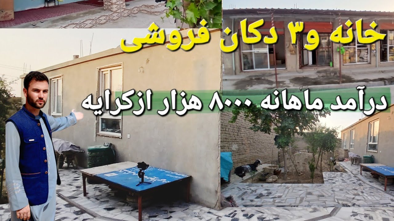 گزارش حیات الله 