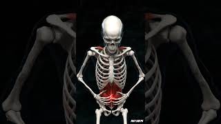 disadvantages of omeprazole #bodyfacts #facts #medicines