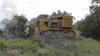 CAT D8 Pushing Trees Into Fire