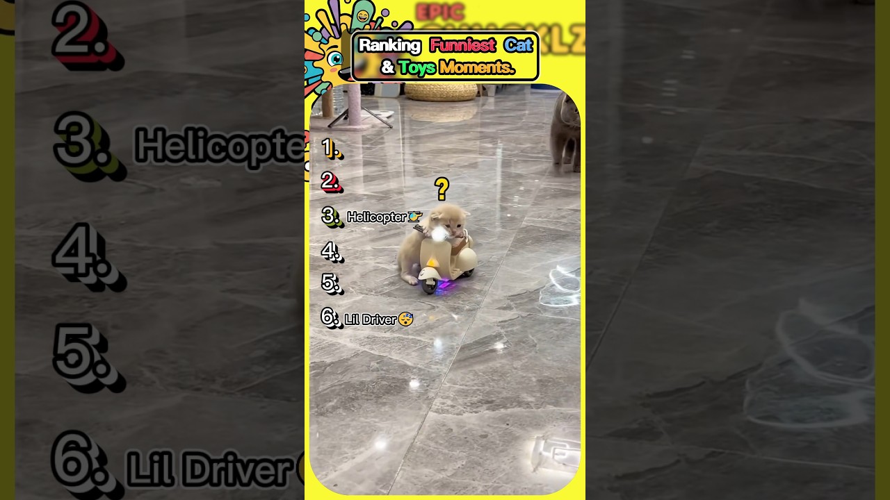 Ranking Funniest Cat & Toy Moments 🧸😹 | 