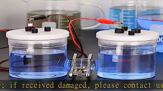 stonylab H-Type Electrolytic Cells, Borosilicate Replaceable Ion-Exchange Membrane Electrolyzer Sea