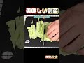 【簡単副菜】ちくわときゅうりのわさびマヨ和えの作り方。#副菜 #レシピ #ちくわ