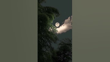 تلاوة جميله من سورة الصافات بصوت الشيخ سعود الفايز