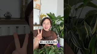 3 Secret Reasons Gardenias Fail to Bloom Perfectly GardeniaFlower GrowingTips