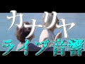 米津玄師「カナリヤ」立体音響(ライブ音響)