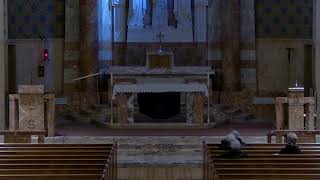 St. Paul the Cross Live Stream