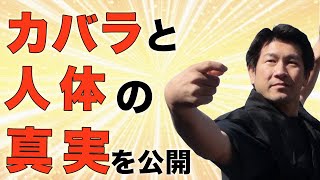 誰も知らない生命の樹（カバラ）と人体の真実！武学の第一人者レノンリー