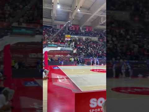 Zvezda - Budućnost