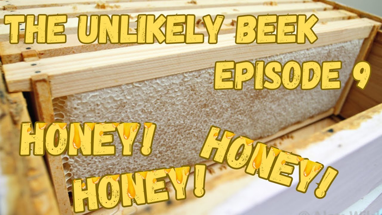 BEEKEEPING: HONEY! HONEY! HONEY!