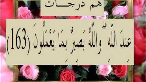 القران الكريم سورة آل عمران الأية 163