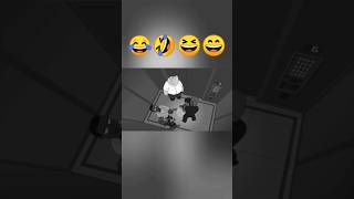 Peter And Jayz In The Elevator familyguyfunnyshortsfeedvirallaughddbhdpetergriffinransom