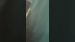 דרוש לשמחת בית השואבה. משפחת זקן