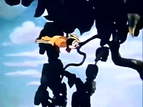 Fleischer cartoon Color Classic Hawaiian Birds 1936 old cartoons vintage public domain