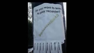 carmen prelude arranging weakness sound from tiktok