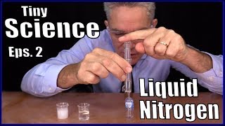 Famous Tiny Science Episode 2 || Liquid Nitrogen || Make Science Fun Net Worth