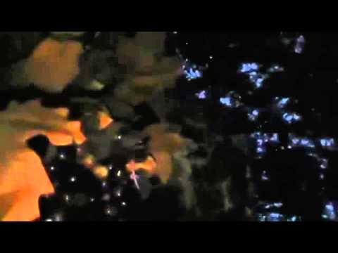 მე უკრაინელი რომ არ ვიყო ქართველი ვიქნებოდი mp4