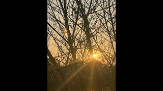 FREE | Distant Memories – Emotional R&amp;B x 6LACK Type Beat | Trap Soul x Drake