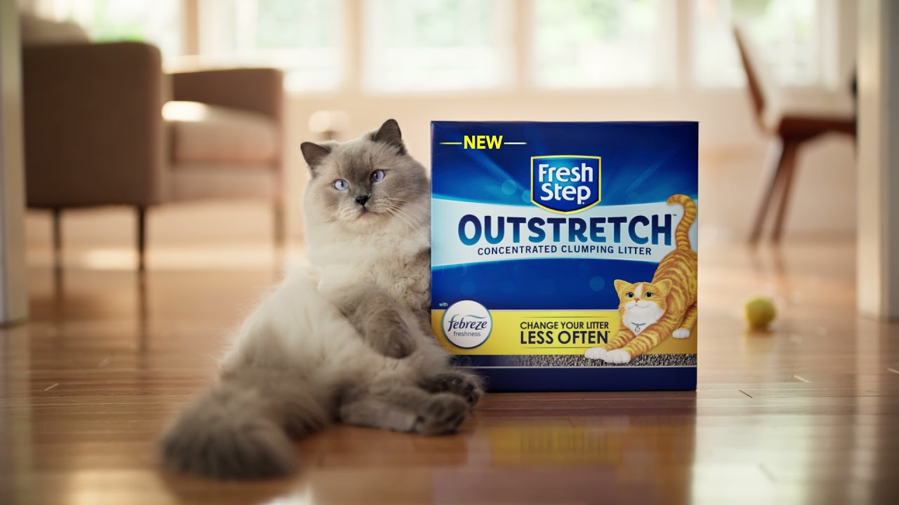 fresh step commercial